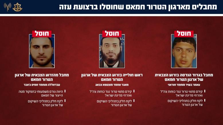 מעריב