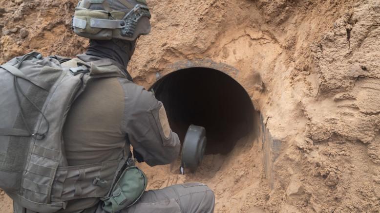 מעריב