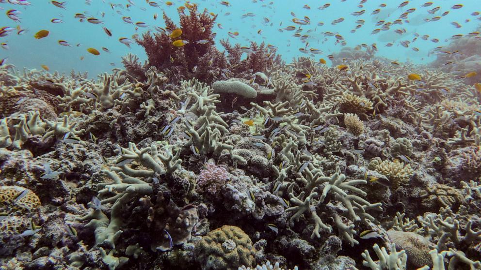 abc