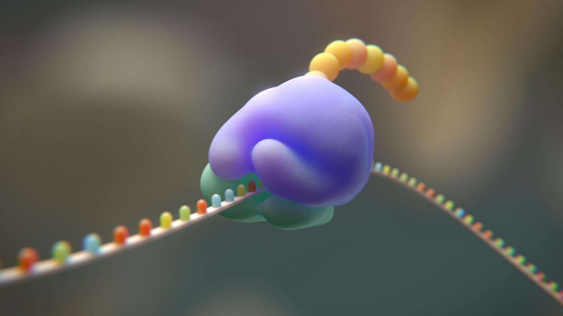 LiveScience