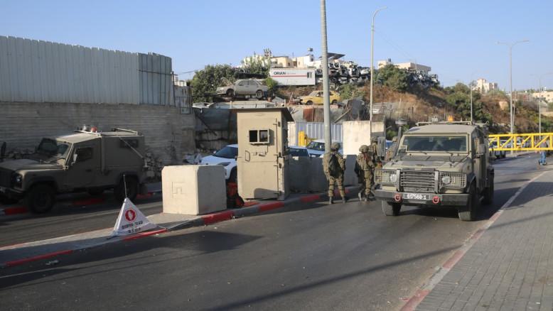 מעריב