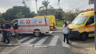 ynet