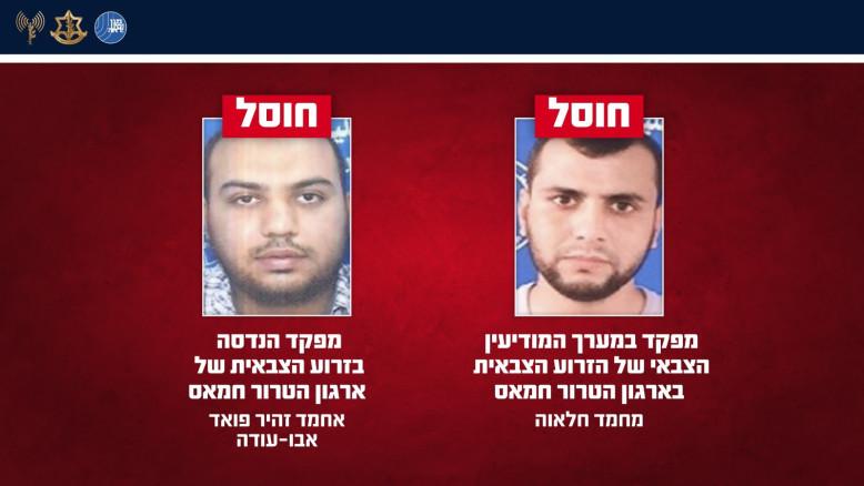 מעריב