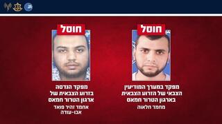 ynet
