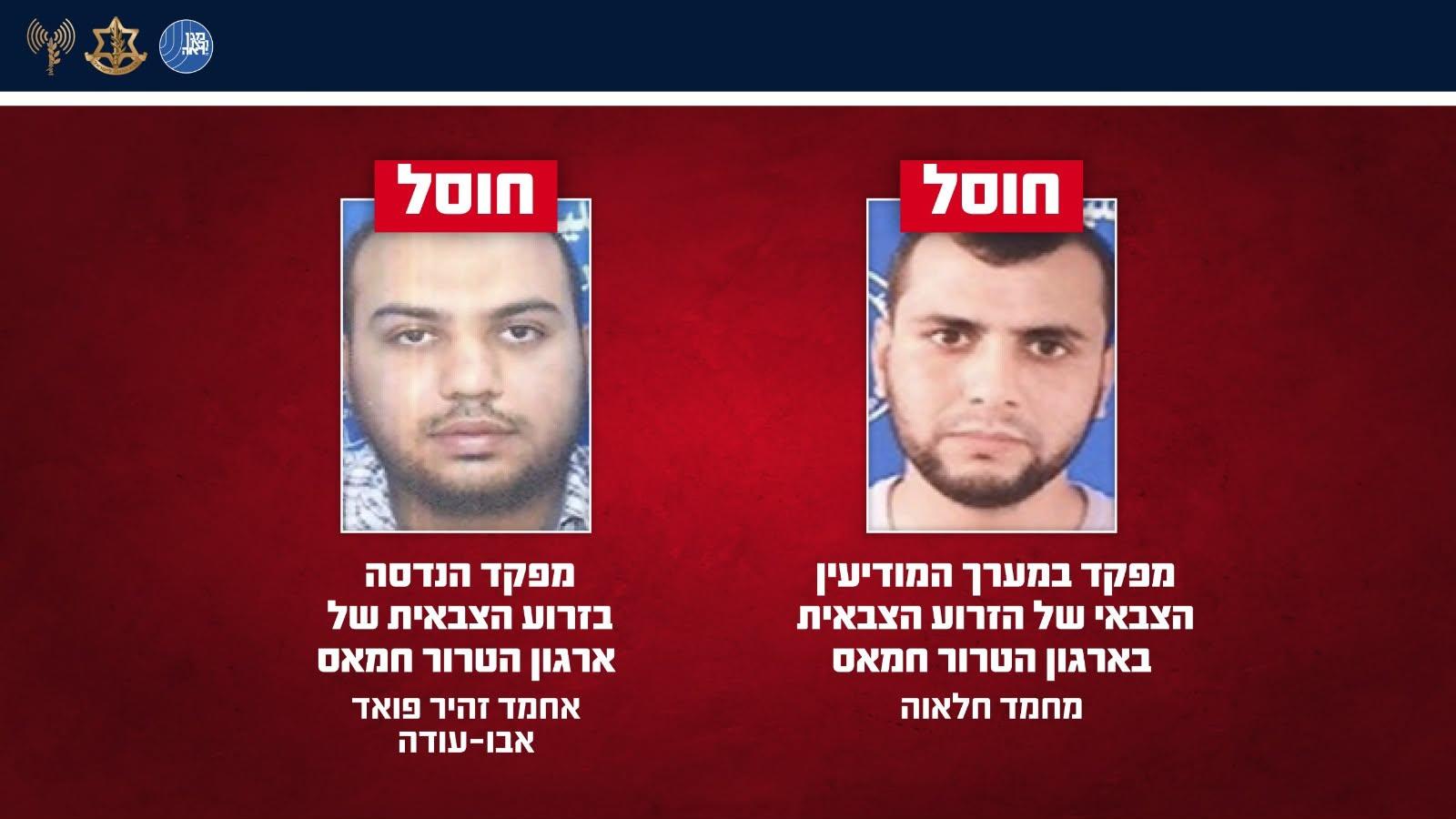 קול חי