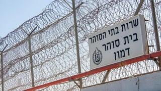 ynet