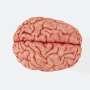 Phys