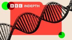 BBC