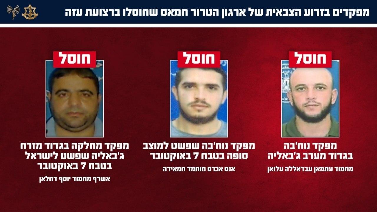 סרוגים