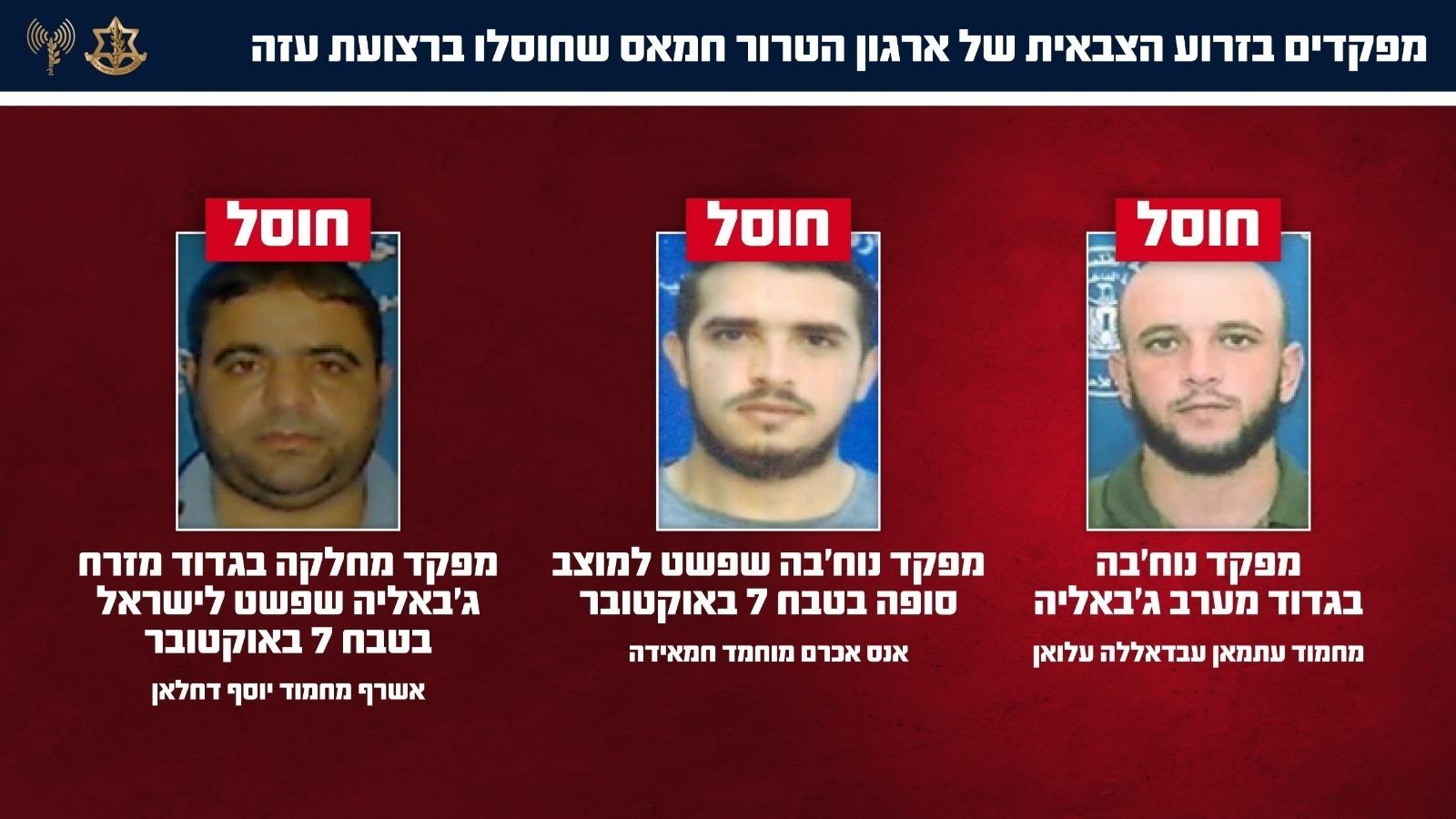 קול חי