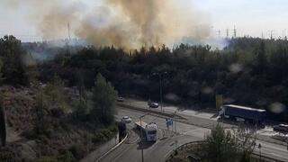 ynet