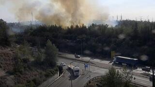 ynet