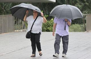 ynet